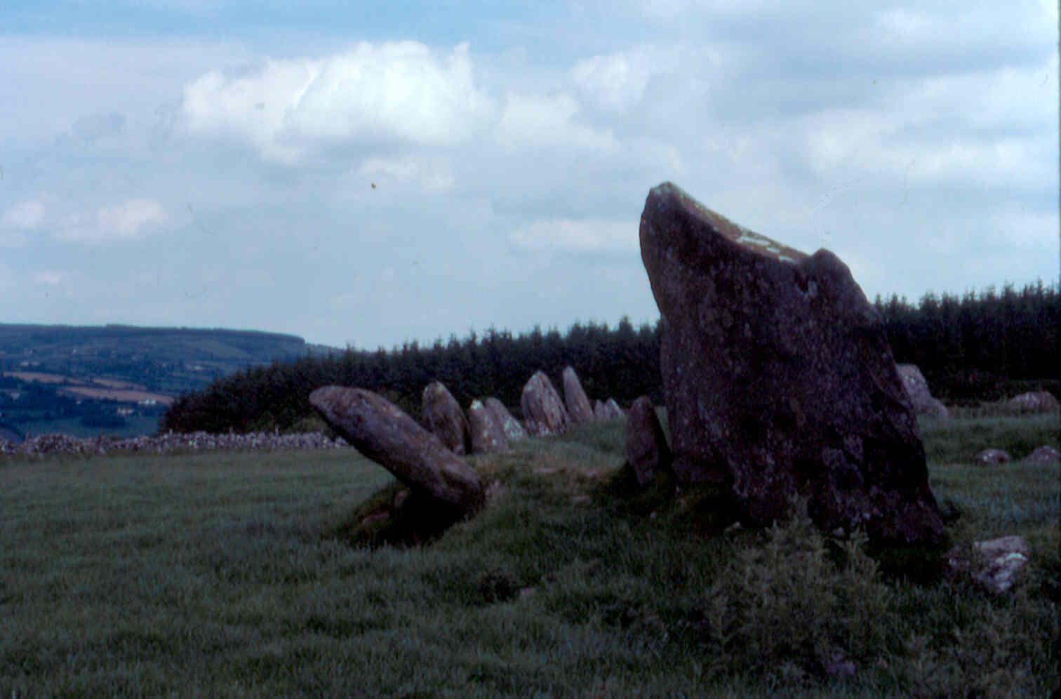 Beltany Stone Circle, Raphoe, Co. Donegal